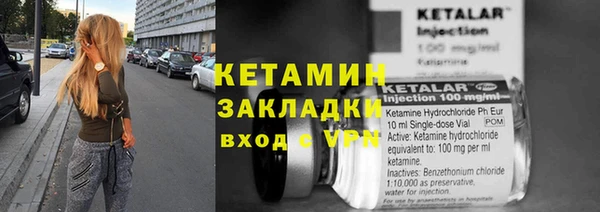 индика Бабаево