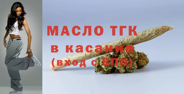 гашик Надым