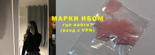 прущие грибы Нея