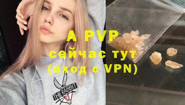 гашик Надым