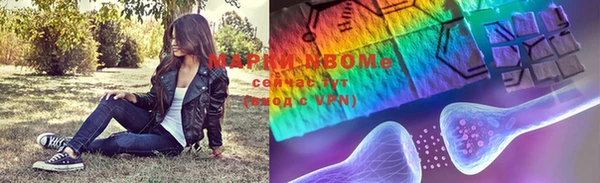 прущие грибы Нея