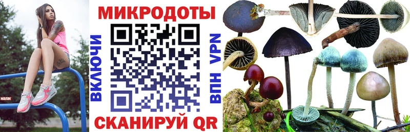 Галлюциногенные грибы Magic Shrooms Кисловодск