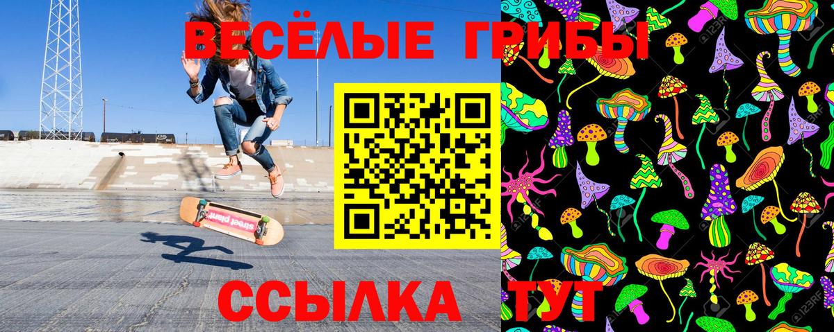 Галлюциногенные грибы GOLDEN TEACHER  Галлюциногенные грибы прущие грибы  Вход с VPN  Кисловодск 