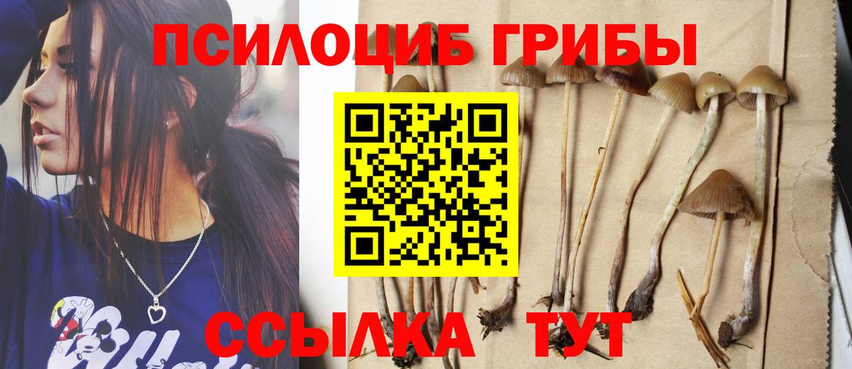 Галлюциногенные грибы MAGIC MUSHROOMS Кисловодск