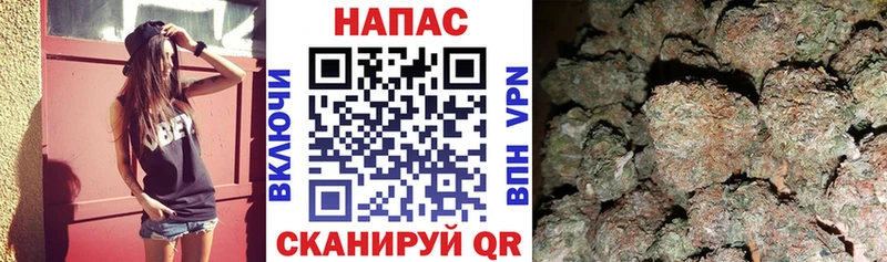 Бошки марихуана VHQ  наркошоп  Кисловодск 